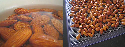 Soaking and Dehydrating Grains Seeds