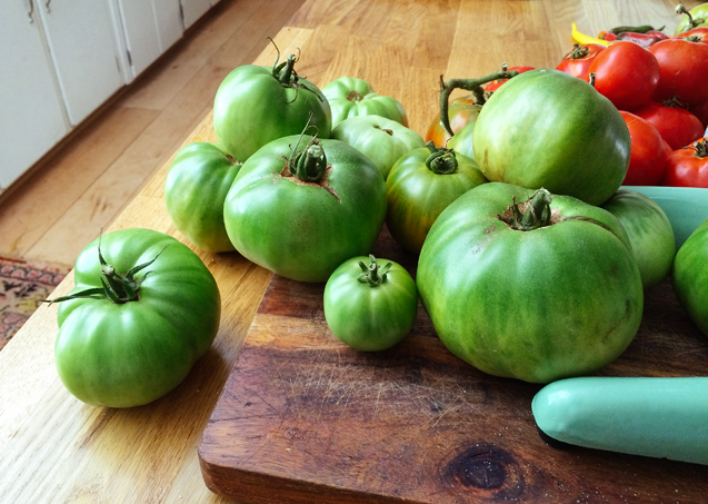 Green_Tomatoes_637
